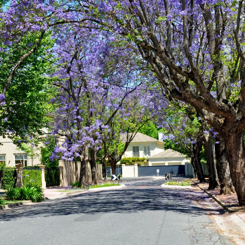 Best suburbs to live in